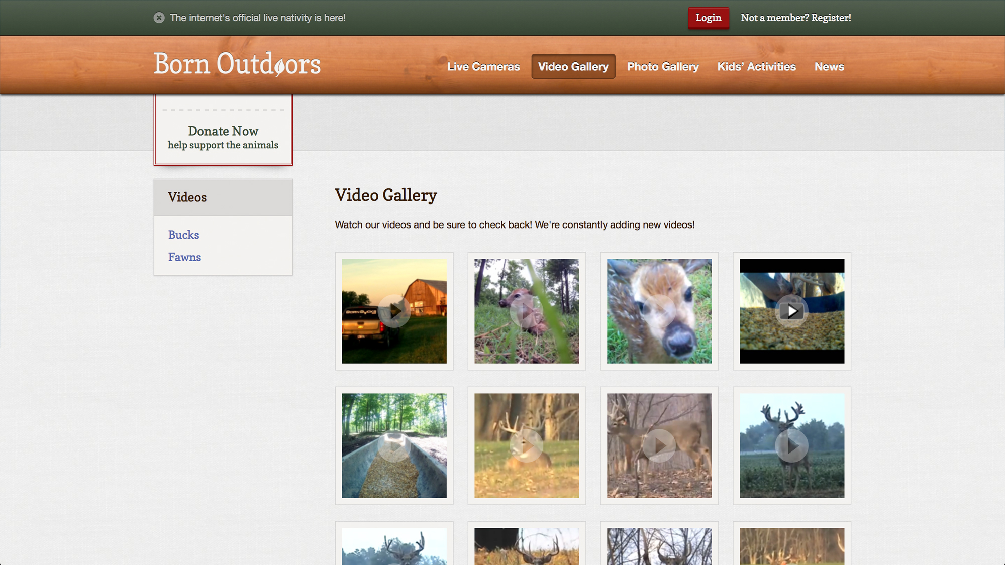 A preview of the Born Outdoors project